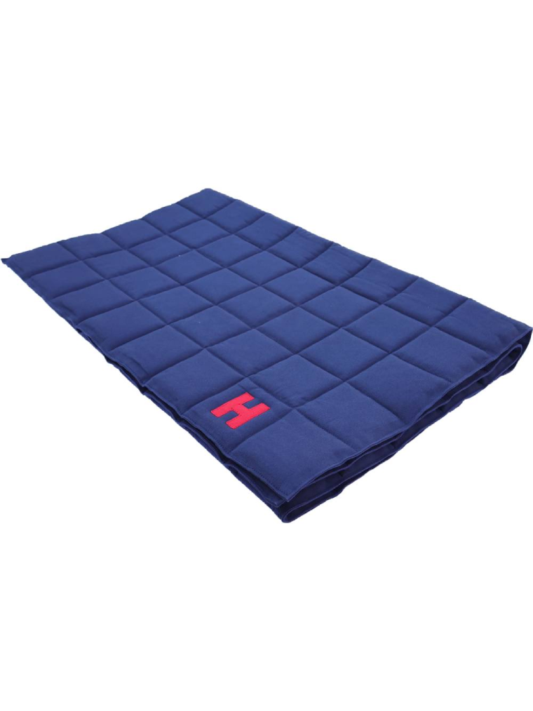 Magnetic Therapy